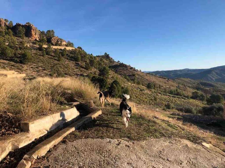 Casa Rural Con Encanto Senorio Manchego Albacete เยสเต ภายนอก รูปภาพ
