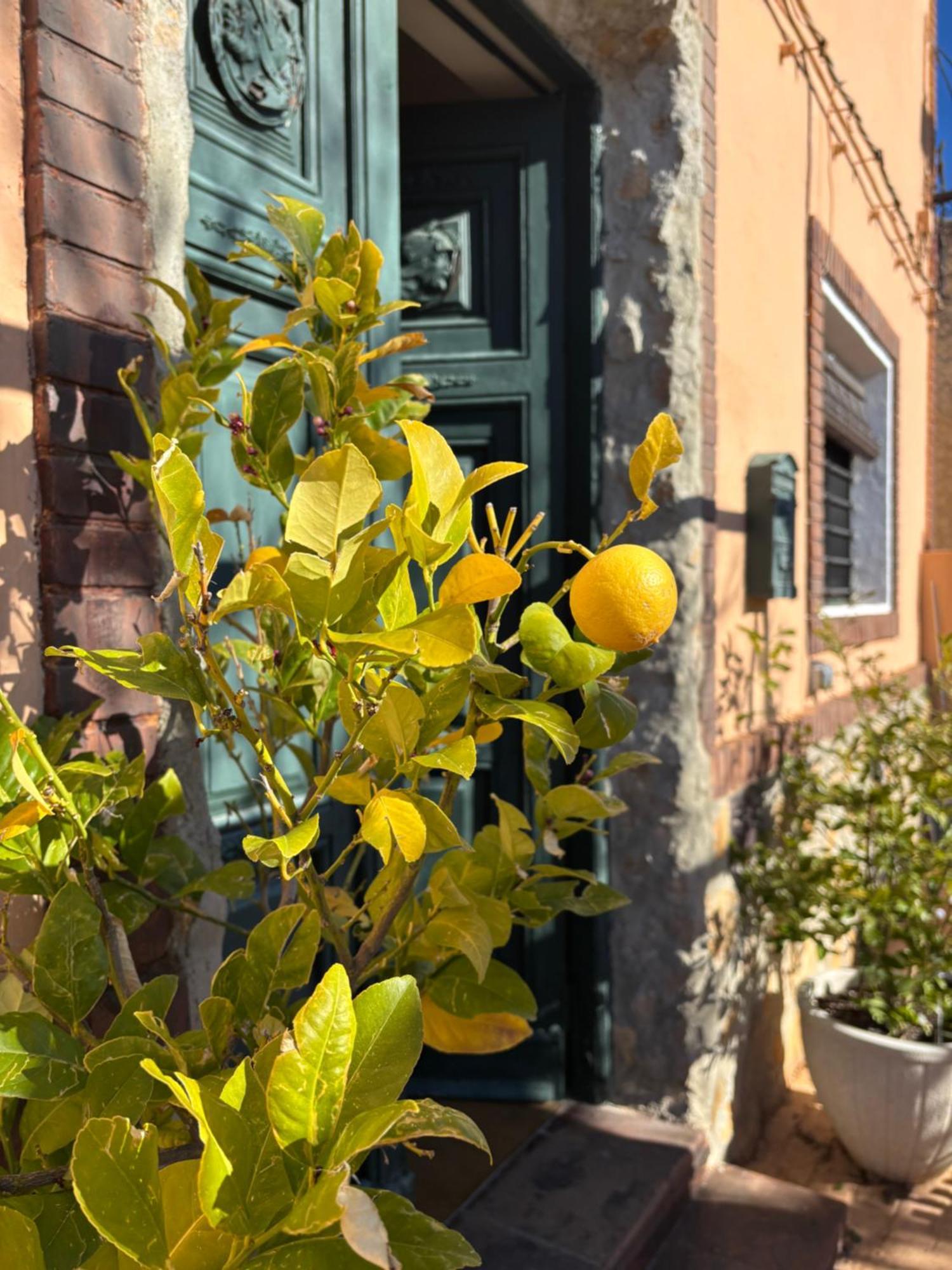 Casa Rural Con Encanto Senorio Manchego Albacete เยสเต ภายนอก รูปภาพ